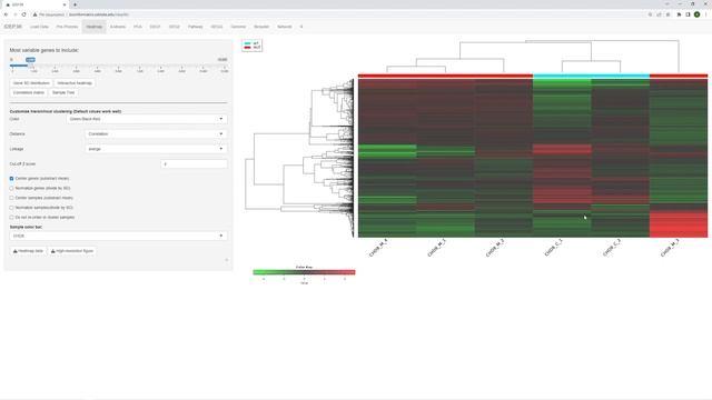 RNA-Seq5. Тепловая карта экспрессии, иерархическая кластеризация и анализ главных компонент в iDEP смотреть онлайн