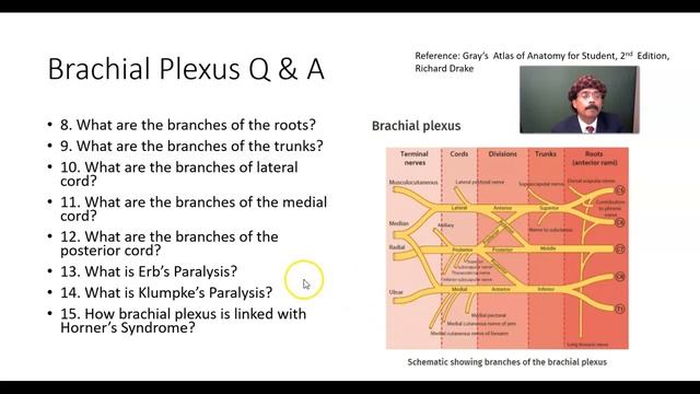 Brachial Plexus Q & A смотреть онлайн