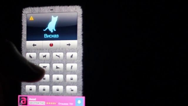 Переводчик на кошачий - обзор IOS приложения