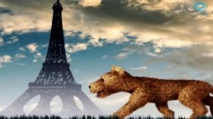 Las Canciones de la Granja de Zenón Videos Enganchados