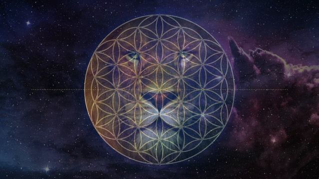 АРИЭЛЬ. Знакомство с Высшим монадическим Разумом смотреть онлайн