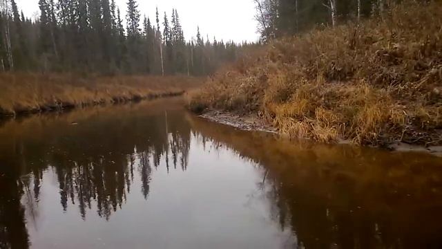 Водомет Карась. Абакан 430 Jet Light с прямоточным водометом Карась по мелководью и перекатам смотреть онлайн