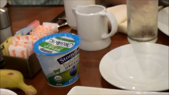 США, Вашингтон (Гостиница, Белый дом, Зоопарк, Еда) часть 1 (15-20 Июня) смотреть онлайн