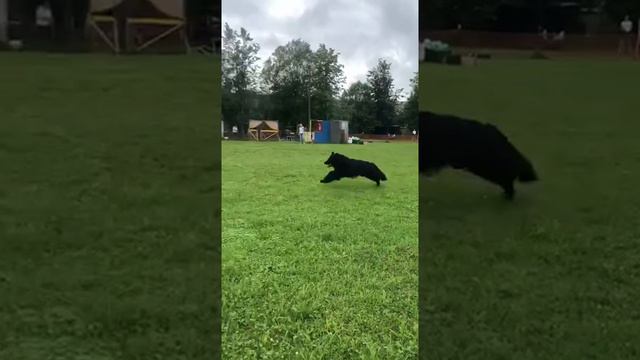 1.  выражено/пож ВАЛЕН ФАРТ (De Orse Mak Flai Avatar – Барни)