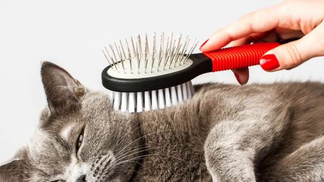 16 РАБОТНИКОВ с НЕВЕРОЯТНЫМИ навыками И СКОРОСТЬЮ смотреть онлайн