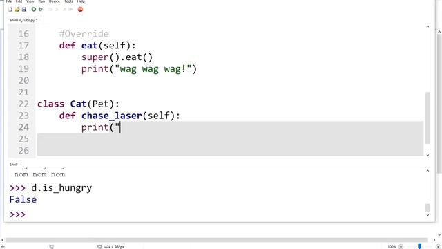 Lesson 6 Subclassing Pet and Car смотреть онлайн