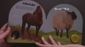 Музыкальная книга «Ферма» Учись и веселись. Азбукварик. Видео-обзор