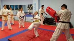 Тренировка ударов в падении. Киокушинкай карате.