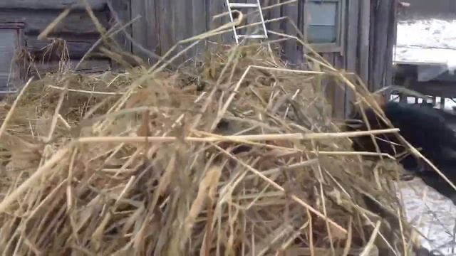 Сеновал.Незаконченное продолжение..... смотреть онлайн