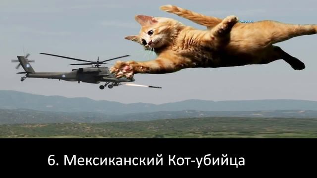 ТОП-10 АНОМАЛЬНО БОЛЬШИХ ЖИВОТНЫХ смотреть онлайн