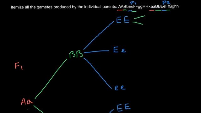 How to use forked line method in order to solve genetics problems смотреть онлайн