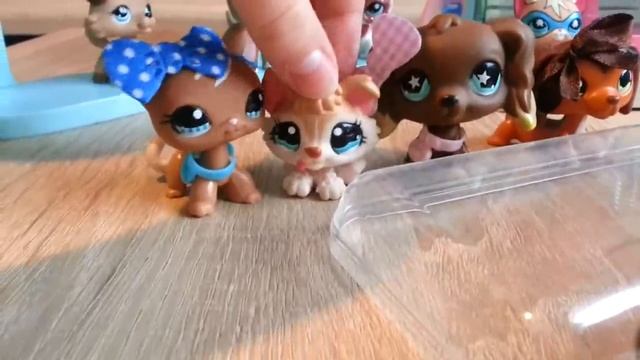 LPS : "Zakręceni" #14 Littlest Pet Shop ! смотреть онлайн