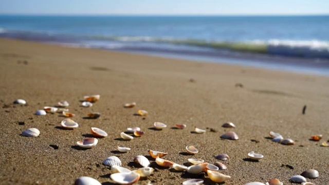 Принятие и отпускание. Ресурсная медитация смотреть онлайн