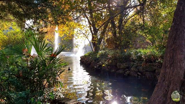 ??Begin Your Day With The POSITIVE ENERGY Of Healing Nature Sounds?Fresh Morning Autumn Meditation