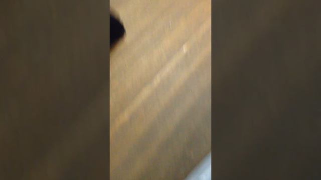Комфорт! Справка! Испуг! Здравствуйте, у вас нет памперса? смотреть онлайн