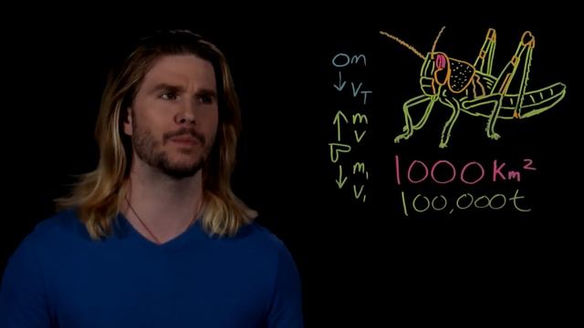 The Largest Insect Swarm | Because Science Live! смотреть онлайн