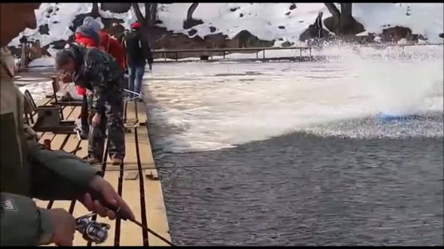 Ловля Форели!!! Приманки для ловли Форели!!! Рыбалка в Подмосковье!!!06.04.18 смотреть онлайн