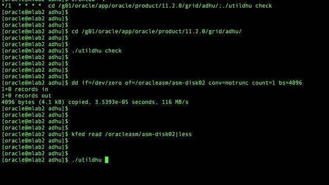 oracle asm diskgroup adhu check & repair disk header metadata смотреть онлайн