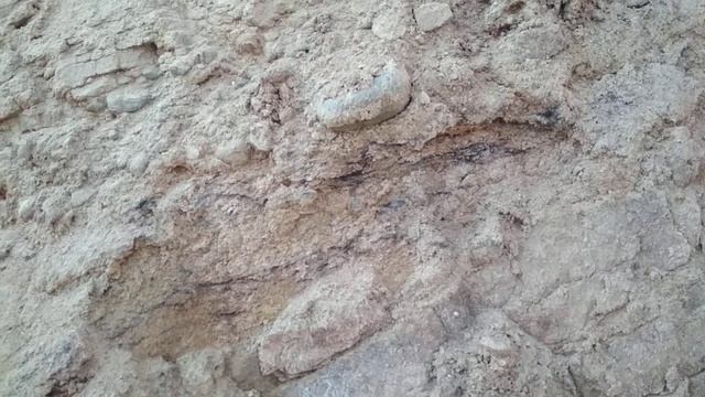 под тонким слоем почвы в тайге ледниковая глина смотреть онлайн