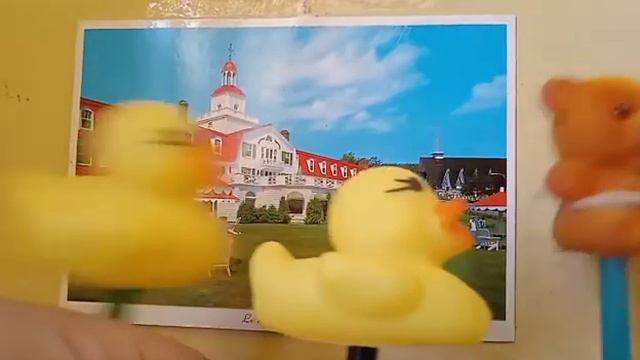 obra de teatro: El patito que envidiaba al osito Por Blanca Catalina Moreno Torres 4 "D" смотреть онлайн
