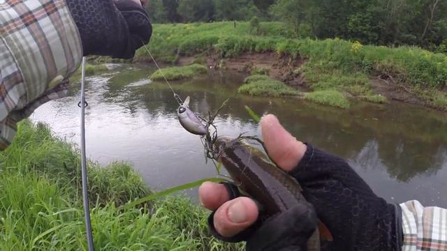 Со СПИННИНГОМ за ГОЛАВЛЁМ!!! Рыбалка на подъёме воды... С чем связано капризное поведение рыбы? смотреть онлайн
