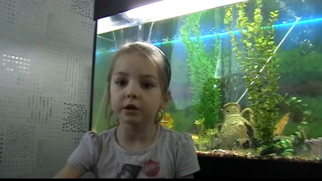 Пьют ли воду рыбы смотреть онлайн