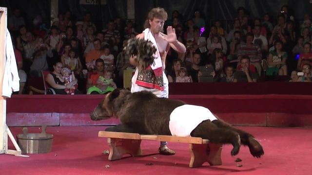 Московский Цирк Никулина в Витебске смотреть онлайн