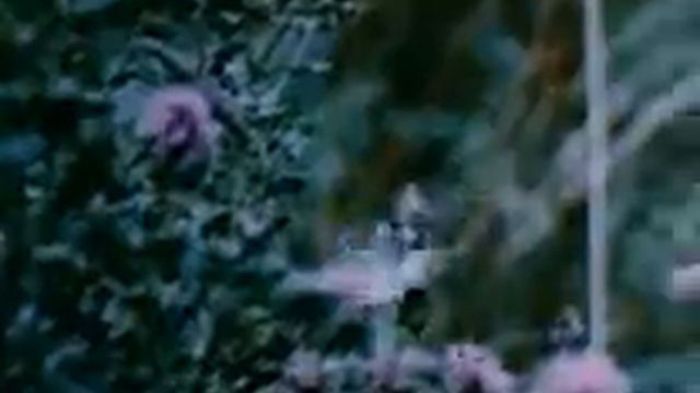 John Lawton - Little Chalk Blue