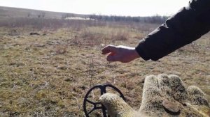 Как я нашел Золото и Серебро на металлоискатель Xp Deus