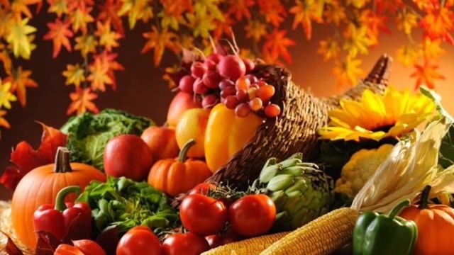 Биология 6 класс (Пасечник) аудио Параграф 30 “Питание растений. Удобрения” смотреть онлайн