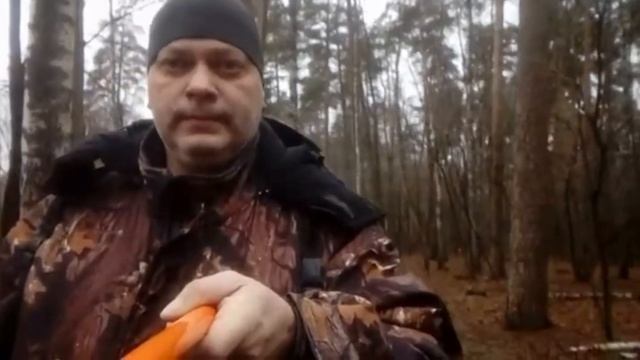 Чага!!! Берёзовый гриб Чага. Гриб в Подмосковье.