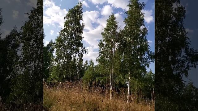 Солдатская шинель смотреть онлайн