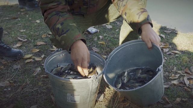 Зарыбление Шульбинского водохранилища_2021 Рус смотреть онлайн