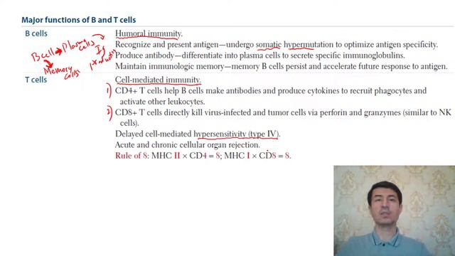 26-lesson. Immunology 2-part смотреть онлайн