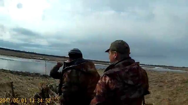 Охота на гуся в Архангельской области, открытие! смотреть онлайн