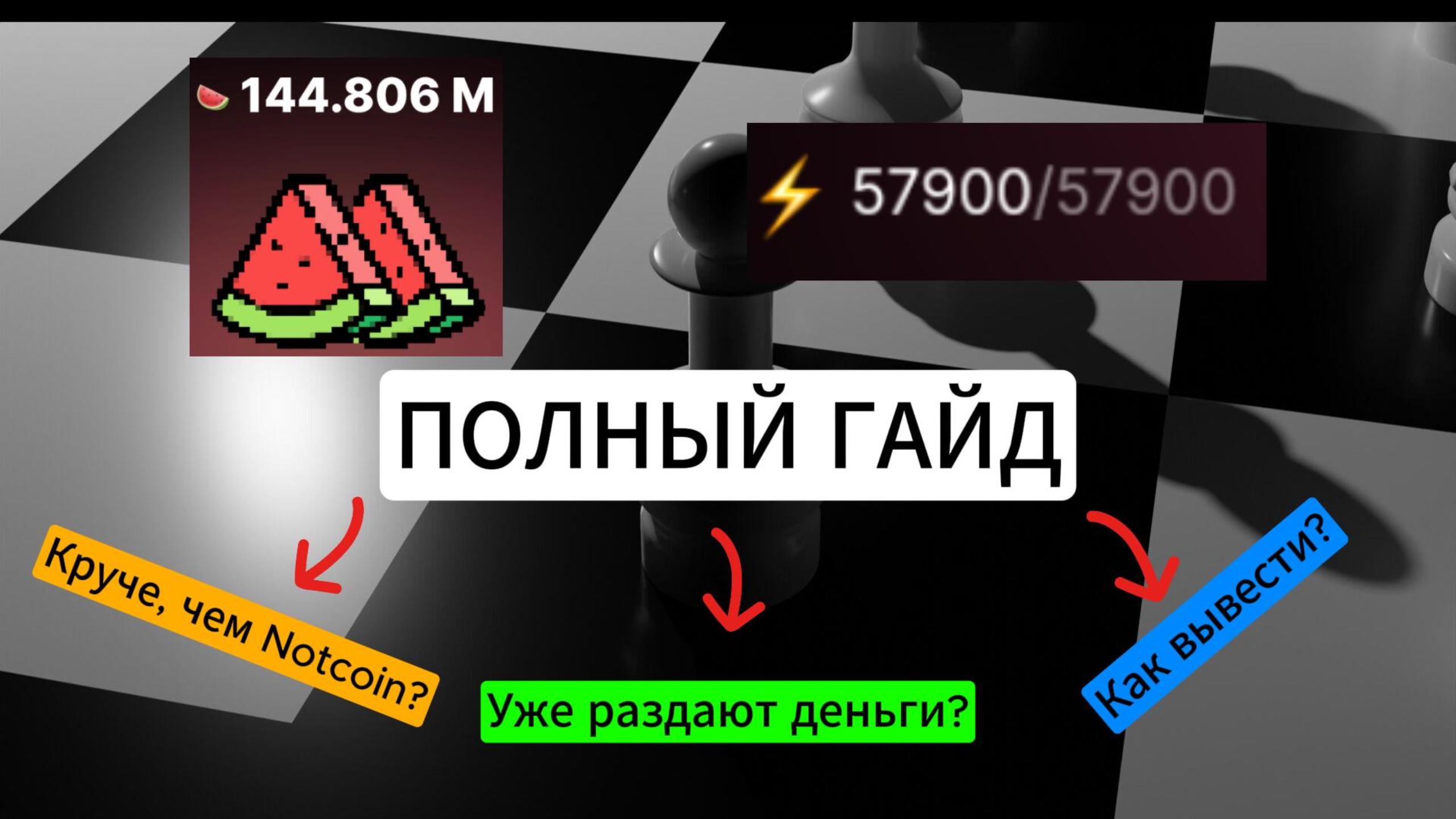 ? ARBUZ - ПОЛНЫЙ ГАЙД ОТ А ДО Я