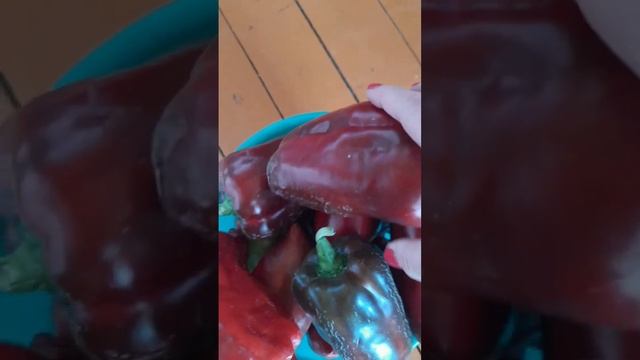 Перец-гигант смотреть онлайн