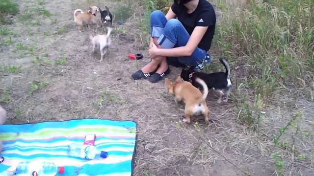 Чихи смотреть онлайн