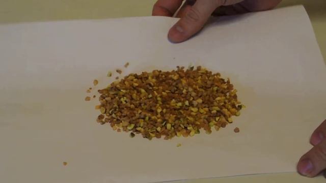 Карамелизированные орехи (фисташка) Barry Callebaut / Bresilienne nuts (pistachio) Barry Callebaut смотреть онлайн