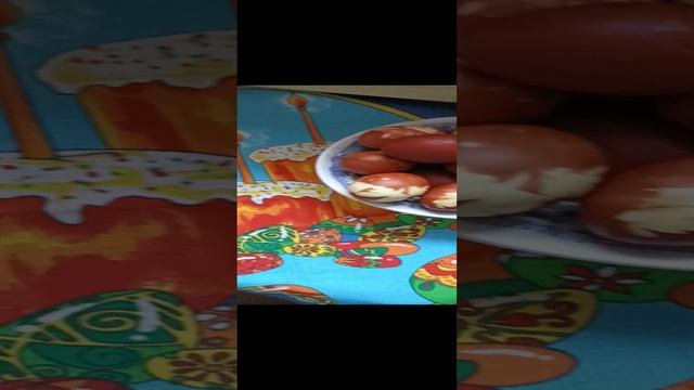 VID_20230416_072157.mp4