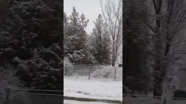 Заснеженная природа, вид из маршрутки номер 1. Флорешты смотреть онлайн