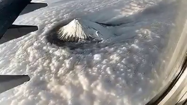 Без названия