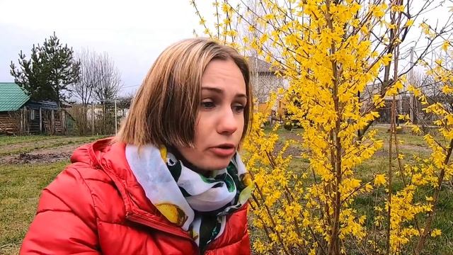 ВЕСНА НЕ ПО РАСПИСАНИЮ. ПАПА О КОРОНЕ ?ВЕРИТ ЛИ ОН В НЕЁ? смотреть онлайн