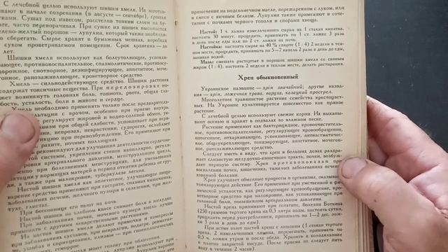 ХРЕН - лечебные свойства. (по просьбе подписчиков) смотреть онлайн