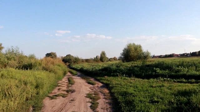 VLOG На реке Ирпень кормим комаров. Влад первый раз за рулём. смотреть онлайн