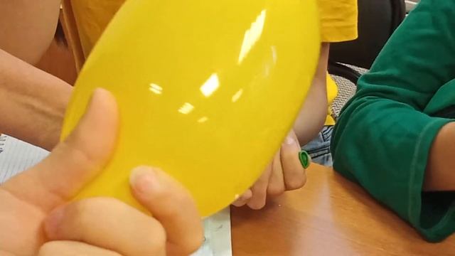 Ботаника: модель замыкающих клеток устьица смотреть онлайн