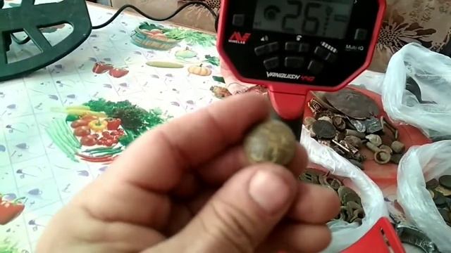 Какое ВДИ у Ванквиш 440  на летние находки. Советы для начинающих владельцев Ванквишей.