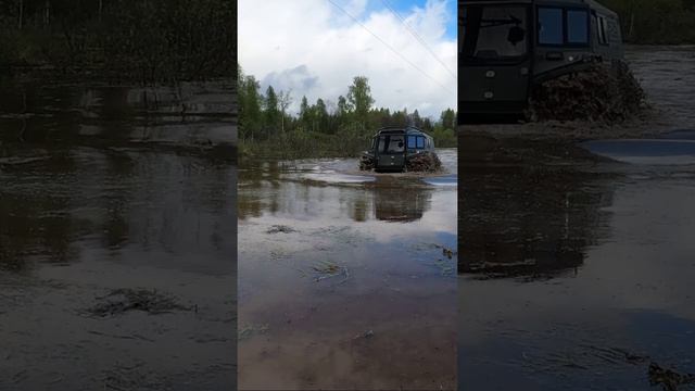 БРо гибрид штурмует болото смотреть онлайн