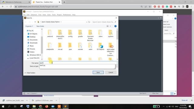 How to setup Python and Sublime Text 4 for Window смотреть онлайн