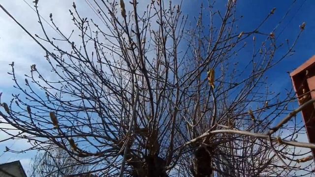 Ейск.Весна.Идем на Армавирский рынок . смотреть онлайн